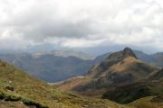 paramo Papallacta Ekwador 4300 m